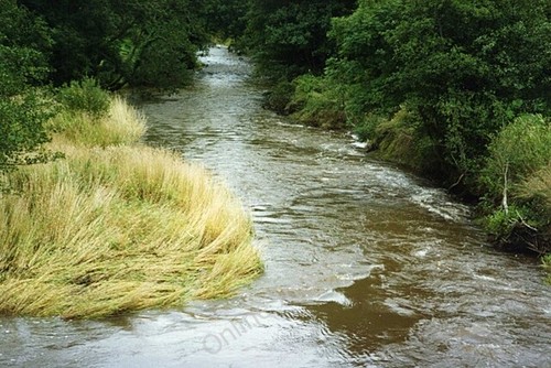 Photo 6x4 shebbear the - photo,