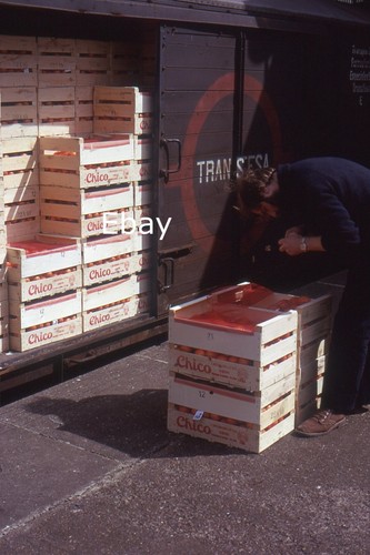 35mm slide loading oranges - loading,