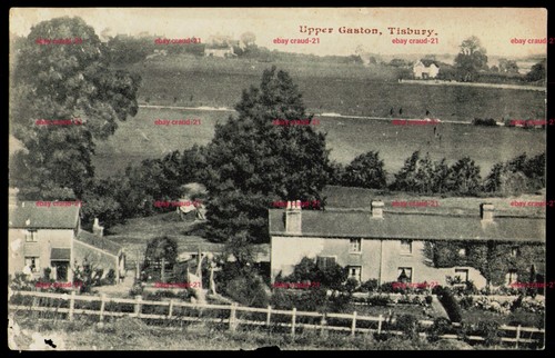 Tisbury upper gaston postcard - tisbury,
