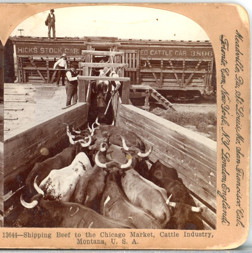 Shipping beef chicago - beef,