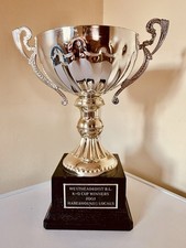 Big silver trophy 12 - big,