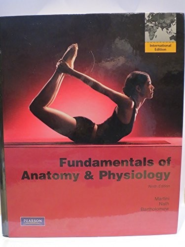 Fundamentals anatomy - anatomy, &