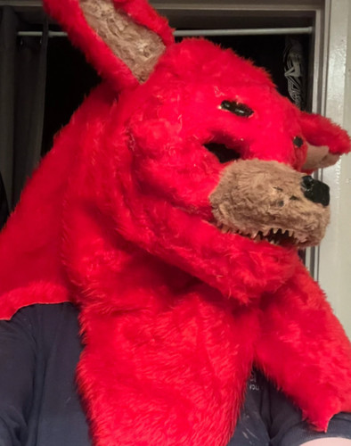 Furry canine fursuit - furry, head