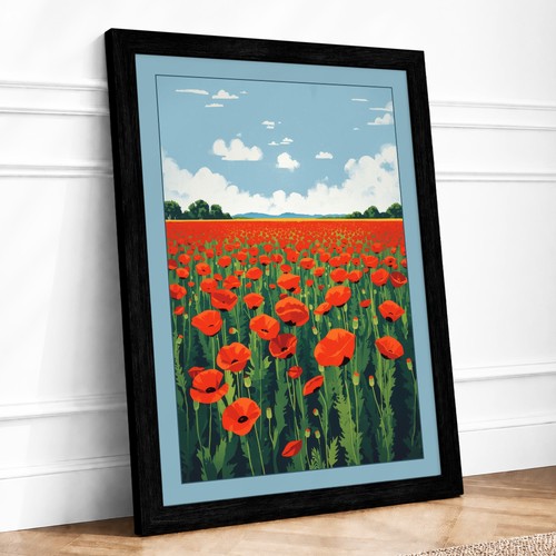 Poppy field bloom - field, in
