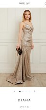 Dress To Party Diana Silver / Nude Tulle  Fishtail Prom Gown  Dress Size 10 £550