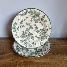 BHS Country Vine Dinner Plates approx 10" 26.5 cms x2 