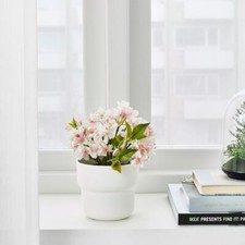 Ikea förenlig plastic plant - fÖrenlig,