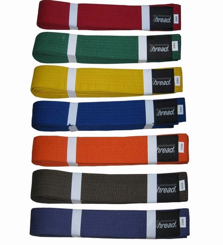 Martial arts belt karate - martial,