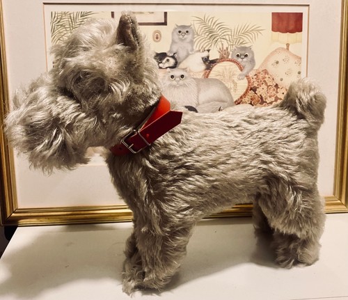 Cute vintage steiff - vintage, schnauzer