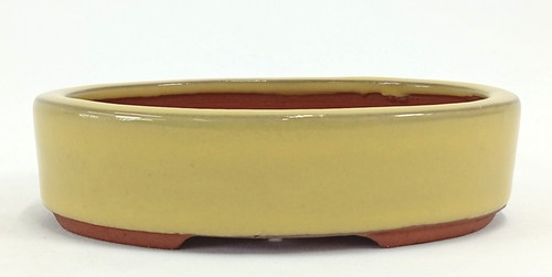 Tokoname bonsai pot eimei - bonsai,