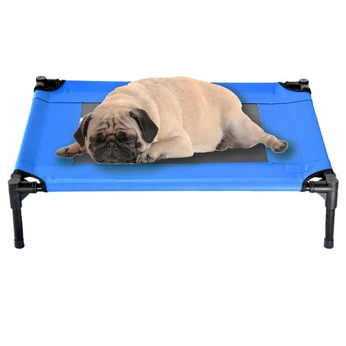 Elevated dog bed - elevated, pet