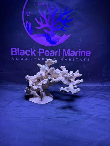 Bpm scape nano 072618 - bpm, |nano|