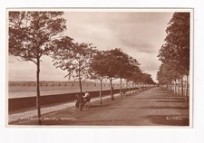 Real Photo Postcard Riverside