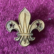 Vintage Boy Scouts brass arrowhead green beret Bronze hat badge