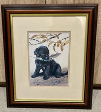 Amy Brackenbury Framed Print