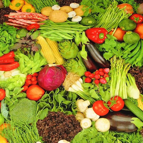 Vegetables pvc vinyl wipe - vegetables,