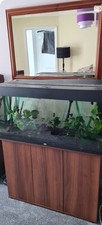 Juwel 180 Rio Helialux LED Aquarium Complete with Cabinet