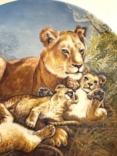 Lioness and Cubs Collectors