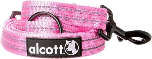 Dog training lead - dog, ended