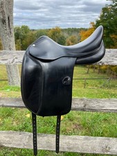 17" Amerigo Vega Dressage