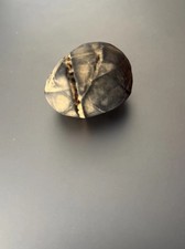 Dragon stone natural pebble - stone,