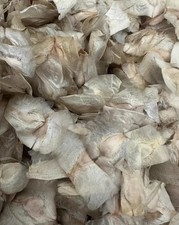 10/20/50/100pcs  S eeds
