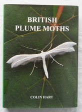 British Plume Moths by Colin