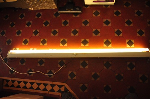240v single fluorescent - single,
