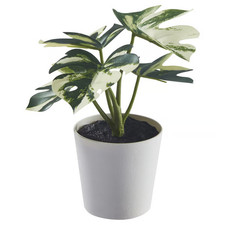 Artificial Monstera Houseplant