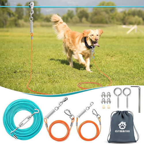 Professional dog runner - professional,