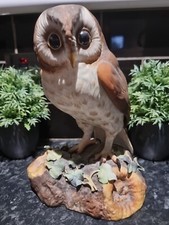 Royal Crown Derby Large Brown Owl 10" The Artist signature signed .