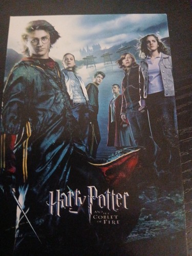 Harry potter the goblet - harry,