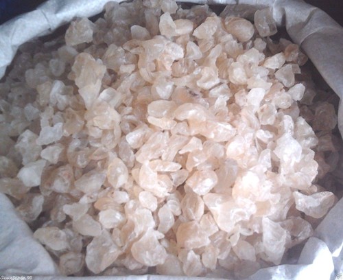 Gond katira tragacanth gum - gond,
