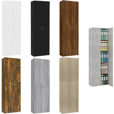 2 Doors Office Cabinet Office