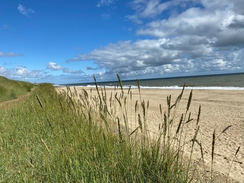 Tides rainbows end park - in,