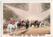 ANGLO AMERICAN GUM TRADE CARD