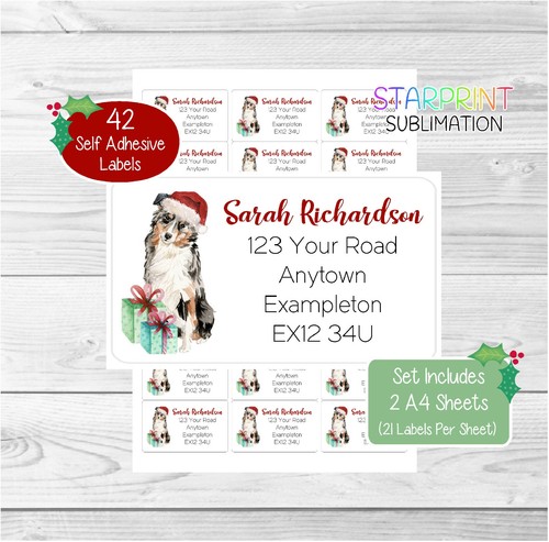 Australian shepherd dog - australian,