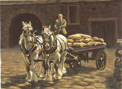 Horse and cart - , birthday