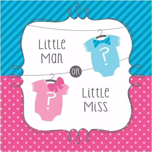 Bow bowtie gender reveal - bowtie?,