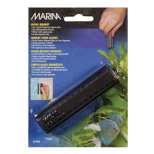 Marina algae magnet - algae, aquarium