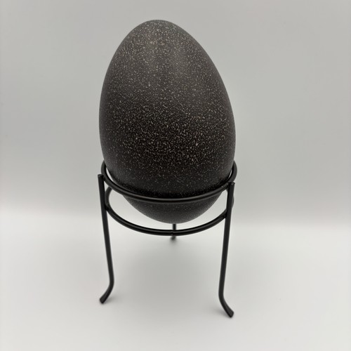 Authentic emu egg black - egg,