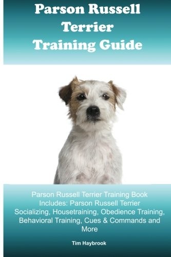 Parson russell terrier - parson,