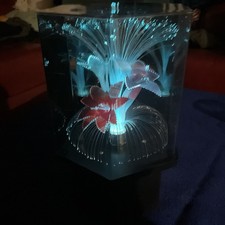 Vintage Fiber Optic Color