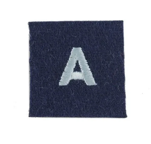 Auxiliary air force - force, patch