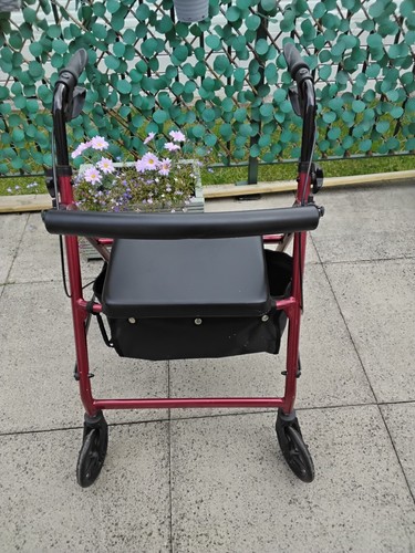Careco mobility wheel walker - mobility, 4