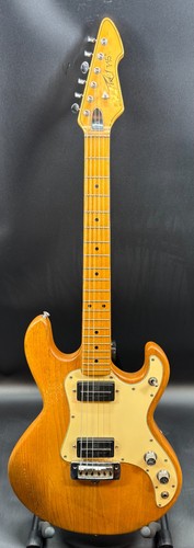1982 peavey usa - 1982, t-15
