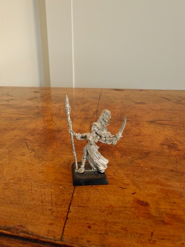 Warhammer wood elf wardancer - warhammer,