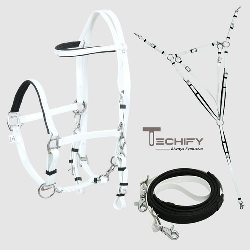 Horse tack endurance bridle - horse,