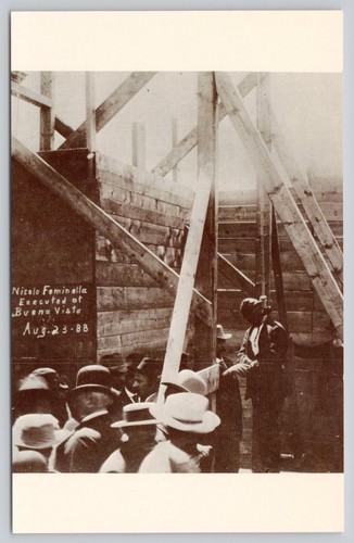 1888 buena vista nicolo - 1888, co