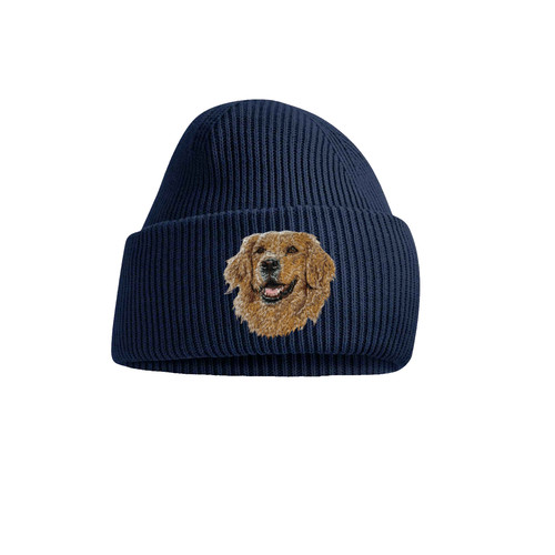Golden retriever dog - retriever, beanie